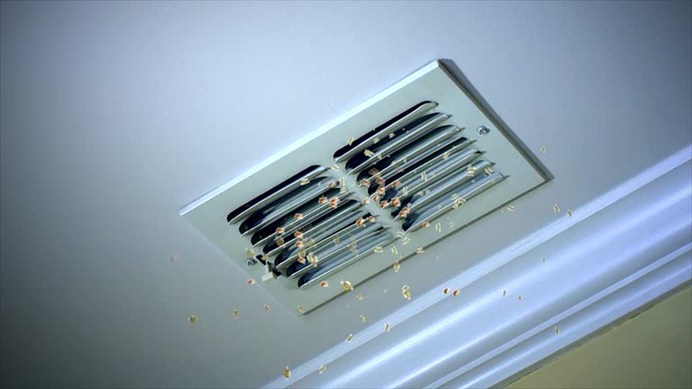 Best Residential Air Duct Cleaning  in Buckhead, GA